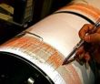 Doua cutremure puternice in Indonezia. 8,7 si 8,2 grade pe scara Richter